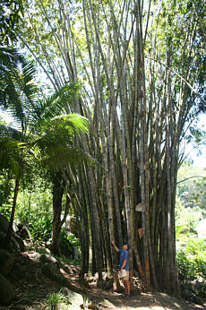 Seychellen Urlaub