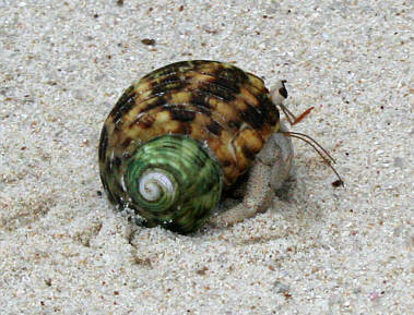 Seychellen Urlaub