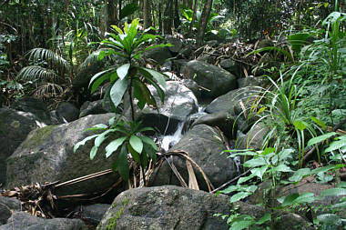 Seychellen Urlaub