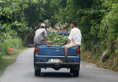 Seychellen Urlaub