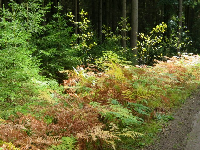 Kurzreise nach Tirschenreuth